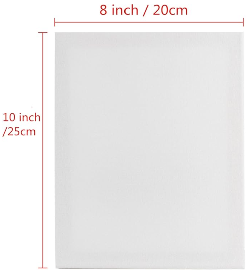 DillyMerch Custom Canvas Prints