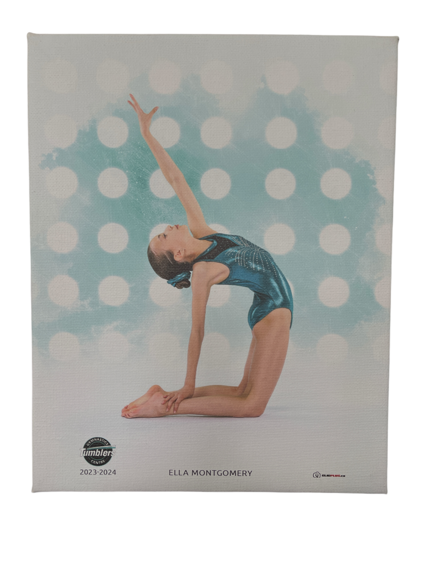 DillyMerch Custom Canvas Prints